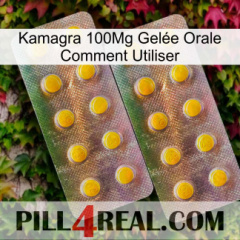 Kamagra 100Mg Gelée Orale Comment Utiliser new10